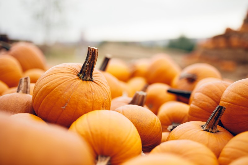 AdobeStock_379205744.jpeg