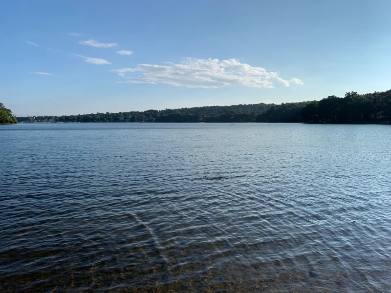 beach.webp