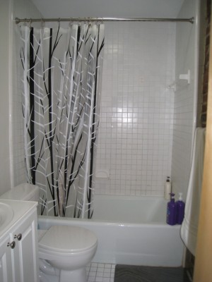 88Hancock2bathroom.jpg